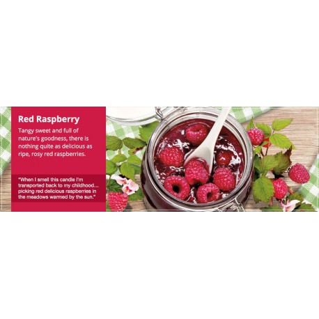 Yankee Candle Red Raspberry słoik duży świeca zapachowa