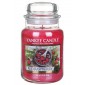 Yankee Candle Red Raspberry słoik duży świeca zapachowa