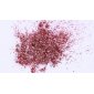 Rose Gold Chrome - pyłek do paznokci + aplikatory - efekt lustra