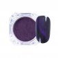 Cat Eye Mirror Powder 04 - magnetyczny pyłek do paznokci + aplikator 1 g
