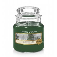 Yankee Candle Evergreen Mist słoik mały świeca zapachowa