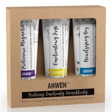 Anwen - Zestaw odżywek do włosów o średniej porowatości 3x100ml